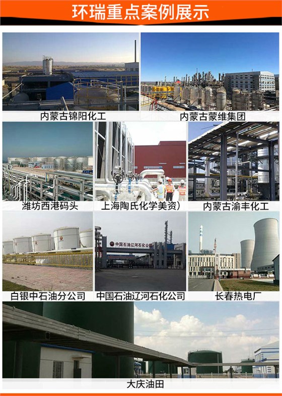环瑞重点案例展示 环瑞重点案例展示