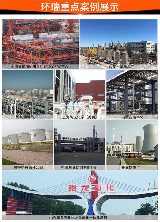 环瑞重点案例展示 环瑞重点案例展示