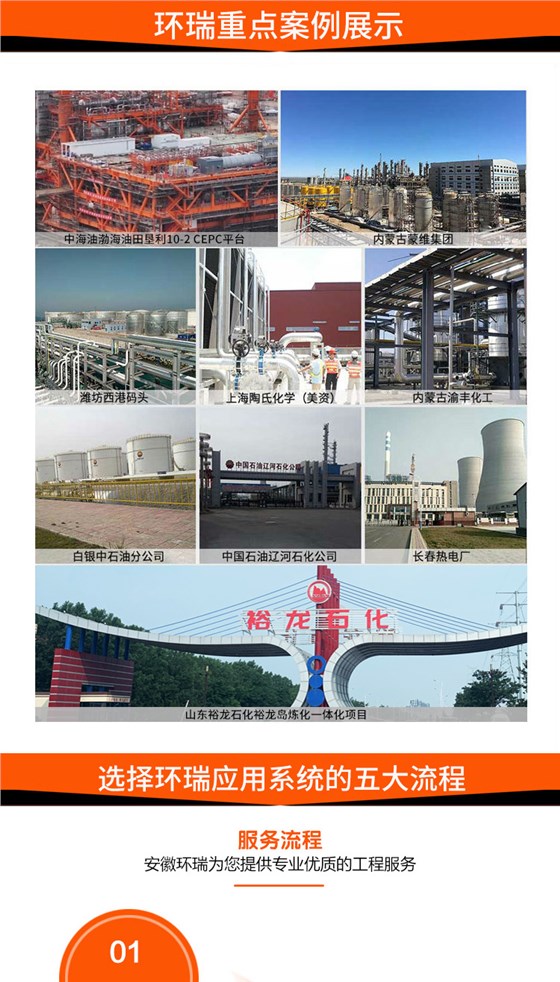 环瑞重点案例展示-仪表 环瑞重点案例展示-仪表