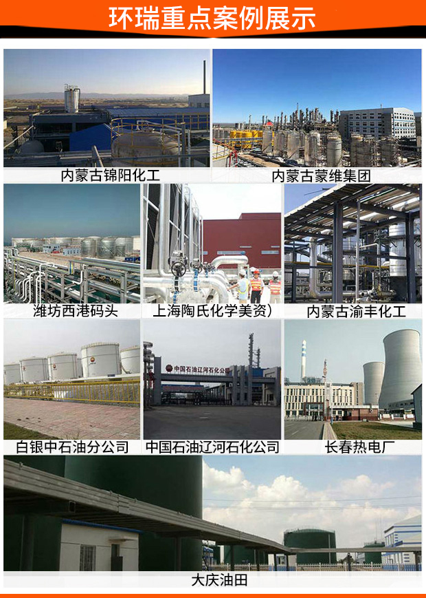 环瑞重点案例展示